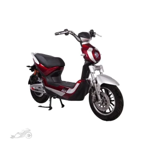 موتور برقی D750