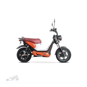 موتور برقی کویر EST4 - اسکوتر برقی کویر EST4